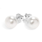 Load image into Gallery viewer, Bible In A Pearl