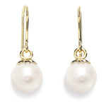 Load image into Gallery viewer, Earrings