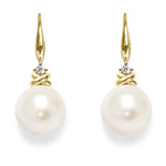 Load image into Gallery viewer, Earrings