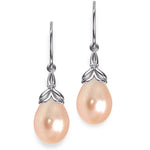 Load image into Gallery viewer, Earrings