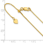 Load image into Gallery viewer, Leslie&#39;s Sterling Silver Gold-plated 1 mm Square Adjustable Snake ChainFC66-22
