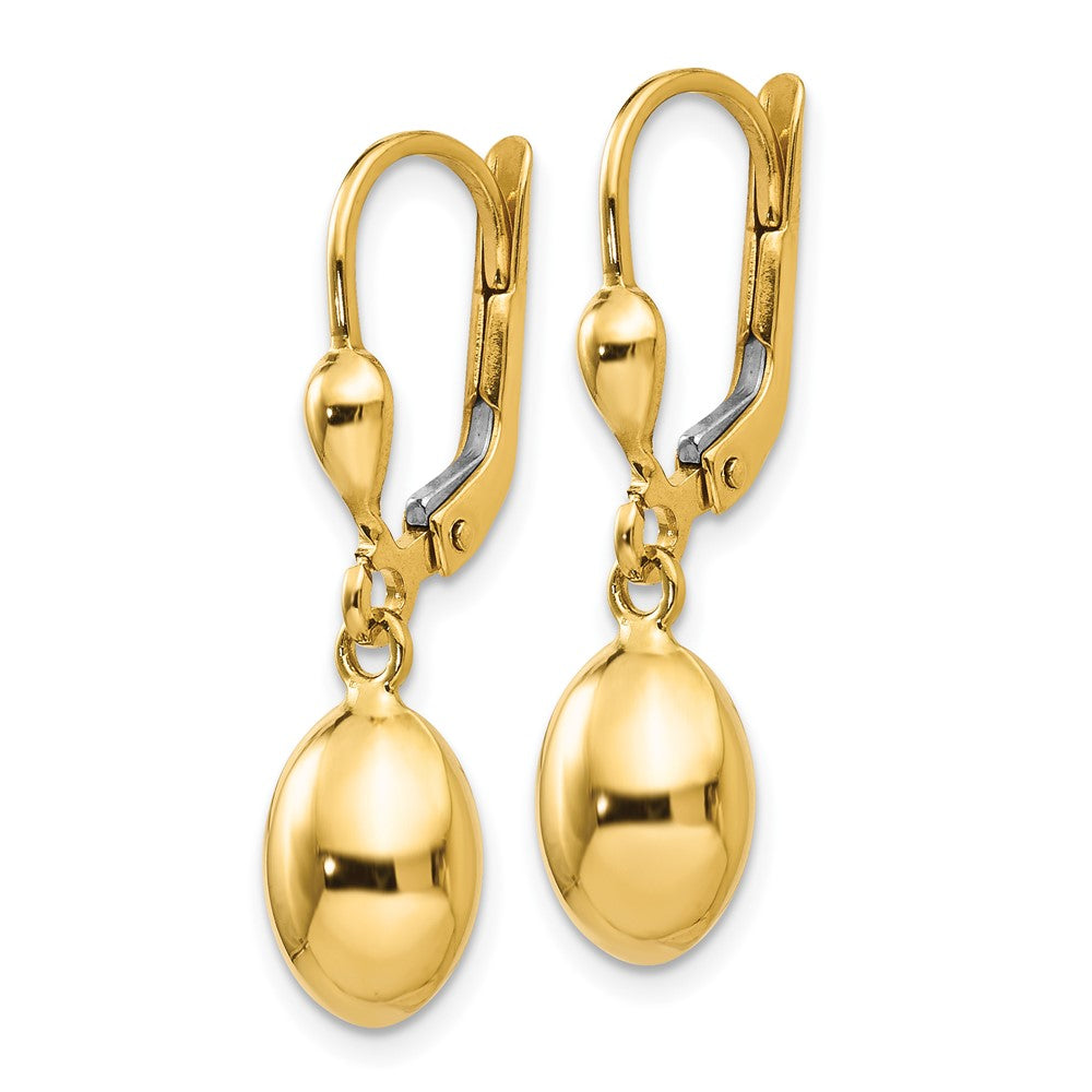 Leslie's 14K Polished Leverback EarringsLE673